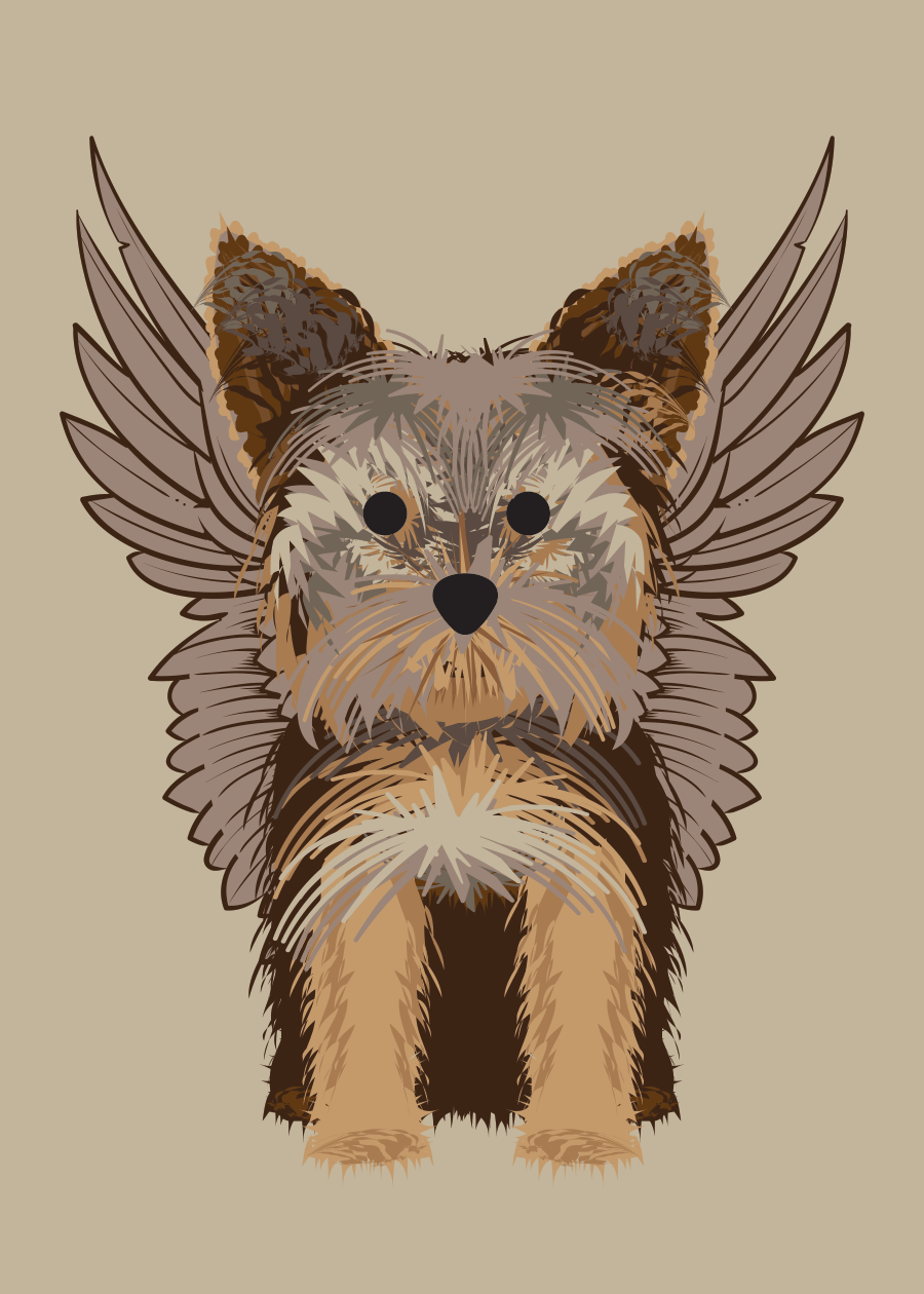 Yorky Collection | marcartshop